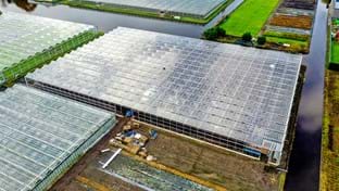 HOVO Plants - 6.048 m²