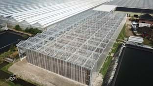 Kwekerij Maron - 10.137 m²