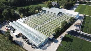 Kwekerij De Stadsweiden - Deck renovation - 4,000 m²