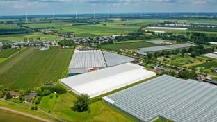 Pippel Bramen - Phase 2 - 7.577 m²