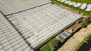 Caravan storage Stichtse Vecht - renovation and construction  - 9.352 m²