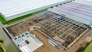 Flower Direct - Phase 1 - 4.096 m²