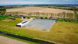 Bambusgärtnerei Hoekse Waard – 5.184 m²