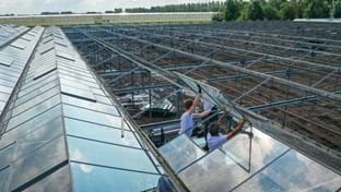 Ortolanda - Roof renovation - 6.000 m²