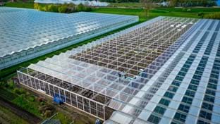 Pippel Bramen - Phase 2 - 7.577 m²