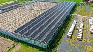 Venlo - Zonnepanelen - Phase 1 & 2 - 28.596 m²