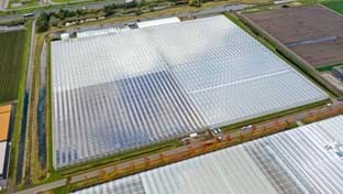 Cucumber nursery Grubben - Roof renovation - 29,736 m²
