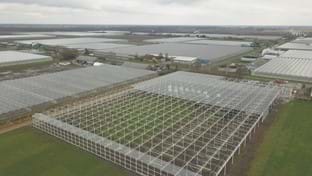 Drenthe Flowers - 13.342 m²