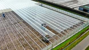 Cucumber nursery Grubben - Roof renovation - 29,736 m²