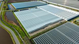 Pico Bello Hortensia - 2.821 m²