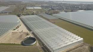 Pippel Bramen - 9.611 m²