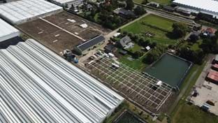 Kwekerij Maron - 10.137 m²