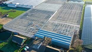 Kwekerij Aris - 5.645 m²