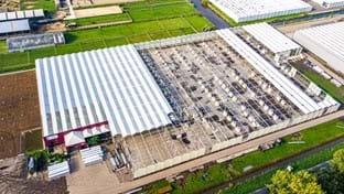 OTM Orchideen - Renovierung des Gewächshauses - 15.702 m²