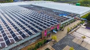 Protium - zonnepanelen - 13.478 m²