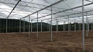 Haygrove - 9.664 m²