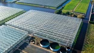 HOVO Plants - 6.048 m²