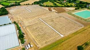 Berries Direct Farming - 64.560 m²