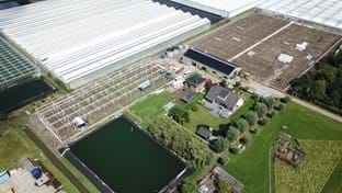 Kwekerij Maron - 10.137 m²