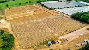 Berries Direct Farming - 64.560 m²