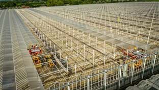 Schenkeveld – Terrassenrenovierung – 98.410 m²