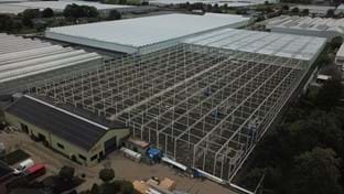 Kwekerij Maron - 10.137 m²