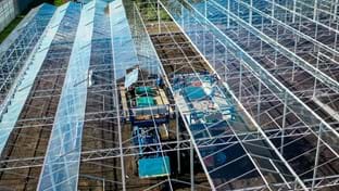 Brabander - 7.296 m²