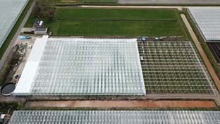 Drenthe Flowers - Phase 2 - 7.234 m²