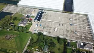 Kwekerij Maron - 10.137 m²