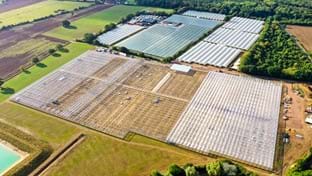 Berries Direct Farming - 64.560 m²