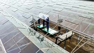 Pépinière de concombres Grubben - rénovation de toiture - 29 736 m²
