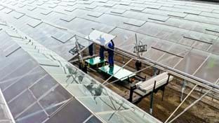 Komkommerkwekerij Grubben - Dek renovatie - 29.736 m²