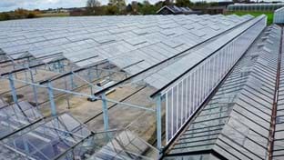 Kwekerij Aris - 5.645 m²