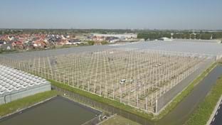 Coert van Dijk Roses - 25.206 m²
