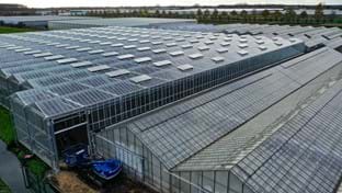 Hoogeveen - 6.025 m²