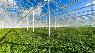 Drenthe Flowers - Fase 2 - 7.234 m²