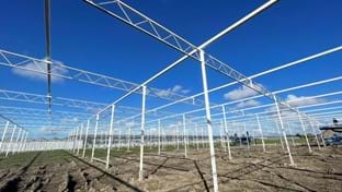 Plantenkwekerij André Van der Burg - Schermhal - 7.120 m²