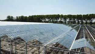 VDA Plant - 7.822 m²