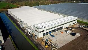 Flower Direct - 13,379 m²