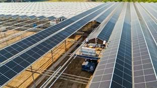 Venlo - Zonnepanelen - Phase 1 & 2 - 28.596 m²