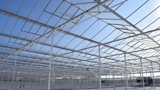 Pippel Bramen - 9.611 m²