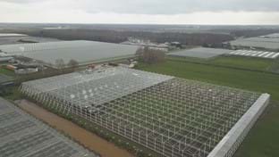 Drenthe Flowers - 13.342 m²