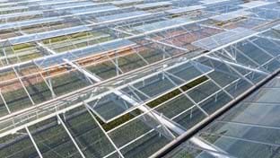 Kwekerij Maarten Bloemen - 9.331 m²