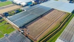 Klimplant CS - 12.803 m²