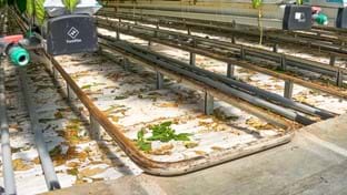 Vijverberg B.V. - Remplacer les tuyaux de chauffage - 83.312 m²