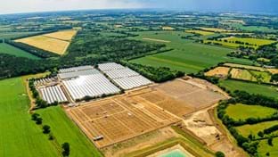 Berries Direct Farming - 64.560 m²