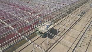 Kwekerij De Wintertuin - 3.131 m²