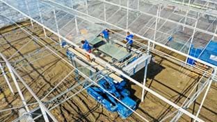 Erfgoed - Phase 2 - 3.955 m²