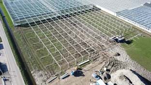 Plantenkwekerij André Van der Burg - Schermhal - 7.120 m²