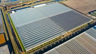 Cucumber nursery Grubben - Roof renovation - 29,736 m²